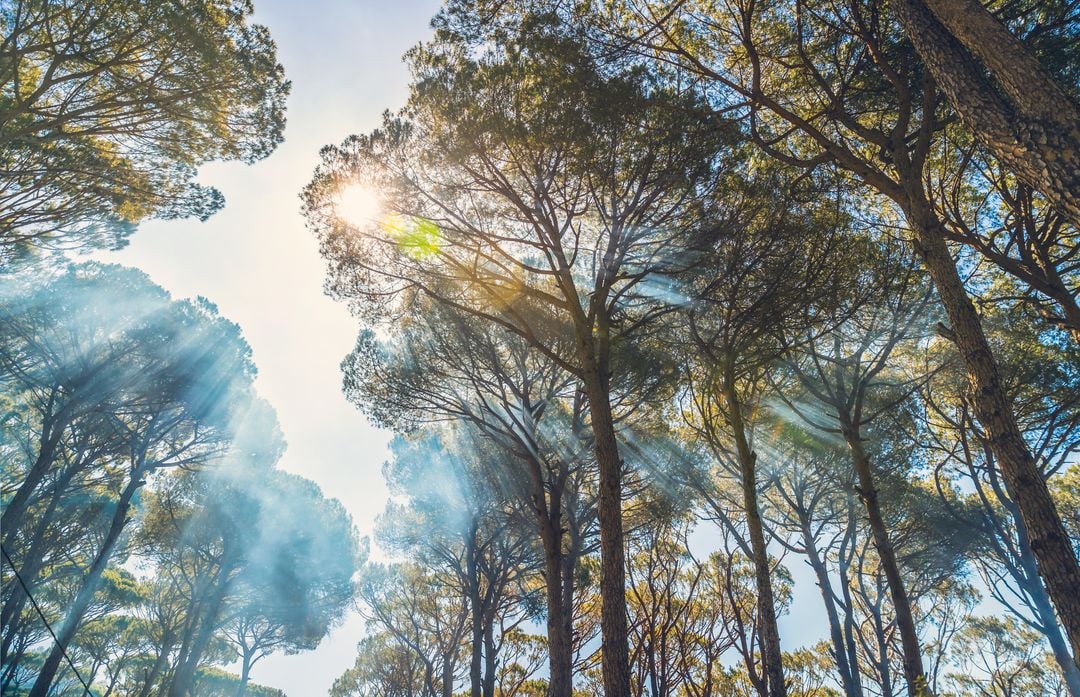 Air quality monitoring
